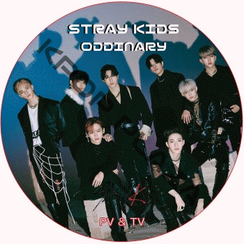 ⭐CD＋DVD⭐SS501「SUPER HITS」 ⭐KPOP⭐SET⭐セット⭐ K-POP PLAZA】KPOP DVD 韓流グッズ 専門店 新大久保 KPOPDVD