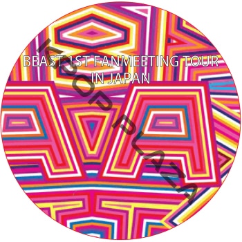 BEAST 1ST FANMEETING TOUR IN JAPAN / �ӡ����� �ϥ��饤�� [K-POP DVD]