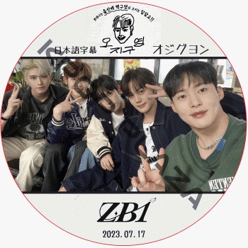 BEAST まとめ売り CD DVD 韓流 アーティスト 韓国 BEAST まとめ売り CD