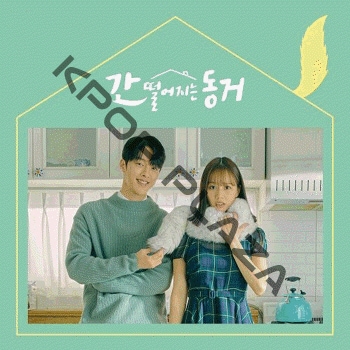 Amazon.co.jp: 韓国韓流ドラマ九尾の狐とキケンな同居DVD版 全16