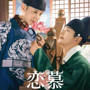 韓国ドラマ『恋慕』ブルーレイ Blu-ray 日本語字幕あり パク・ウンビン Amazon.co.jp: 韓国ドラマ 恋慕 DVD Blu-ray 準 : おもちゃ