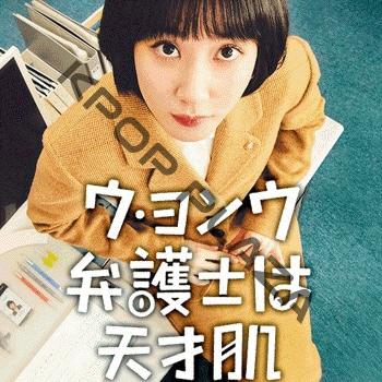K-POP PLAZA】KPOP DVD 韓流グッズ 専門店 新大久保 KPOPDVD