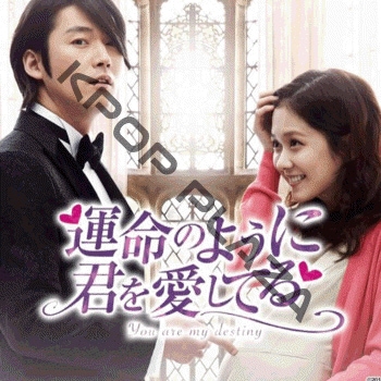 K-POP PLAZA】KPOP DVD 韓流グッズ 専門店 新大久保 KPOPDVD