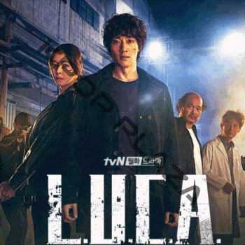 韓国映画 韓国盤 12枚セット （K-POP PLAZA】KPOP DVD 韓流グッズ 専門 