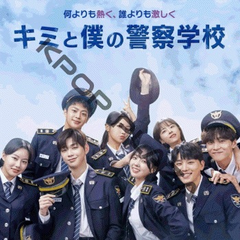 K-POP PLAZA】KPOP DVD 韓流グッズ 専門店 新大久保 KPOPDVD
