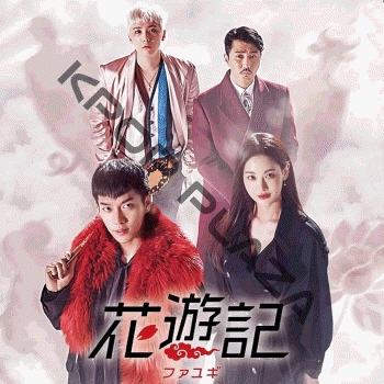K-POP PLAZA】KPOP DVD 韓流グッズ 専門店 新大久保 KPOPDVD