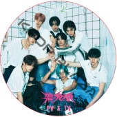 STRAY KIDS PV & TV COLLECTION (��-STAR) / ���ȥ쥤���å� [K-POP DVD]