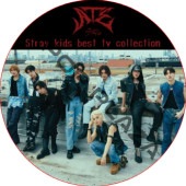 STRAY KIDS BEST TV COLLECTION (ATE) / ���ȥ쥤���å� [K-POP DVD]