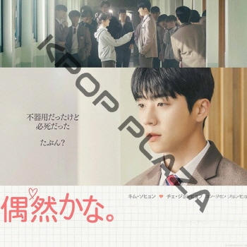 K-POP PLAZA】KPOP DVD 韓流グッズ 専門店 新大久保 KPOPDVD