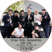 Stray Kids Docuseries (EP04-EP05) ���ܸ���� / [���� : I-Days Milano, BST Hyde Park, Lollapalooza Chicago] ���ȥ쥤���å� SKZ DVD [K-POP DVD]