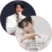 CHA EUN WOO BEHIIND (EP01-EP20 #2祻å)ܸ / ȥ ASTRO DVD [K-POP DVD]