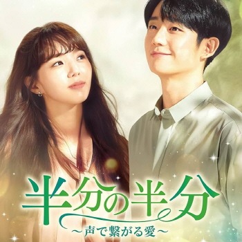 チョン・ヘイン★チェ・スビン『半分の半分』レンタル落ちDVD★全巻★韓国ドラマ チョン・ヘイン☆チェ・スビン『半分の半分』レンタル落ちDVD