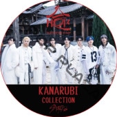 Stray Kids ���ʥ�� Collection (HOP) / ���ȥ쥤���å� SKZ DVD [K-POP DVD]