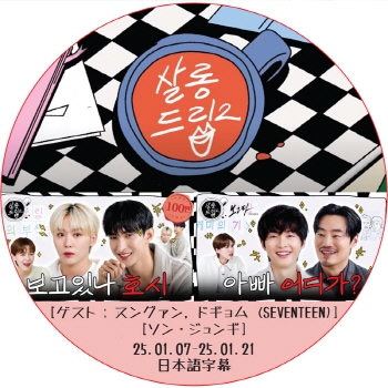 韓流 SEVENTEEN ドギョム のみ BE THE SUN FML 等 封入含む トレカ 27