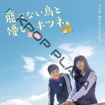 K-POP PLAZA】KPOP DVD 韓流グッズ 専門店 新大久保 KPOPDVD