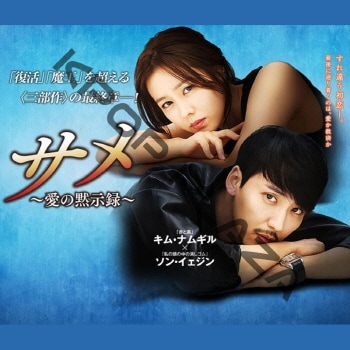K-POP PLAZA】KPOP DVD 韓流グッズ 専門店 新大久保 KPOPDVD