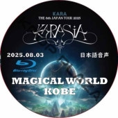 KARA DVD Hybrid Disc Blu-ray まとめ売り Hara 2023 Chinese BLOSSOMS FLOWERS DVD 繁花Chinese Sub Blu-ray