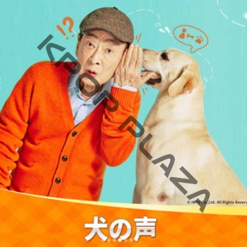 【韓国ドラマ】CD『犬とオオカミの時間』OST【韓国盤】【廃盤】新品 韓国ドラマ「犬とオオカミの時間」オリジナル・サウンドトラック