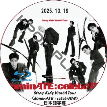 straykids スキズ District 9 DVD 未開封 Stray Kids World Tour 'District 9 : Unlock'in SEOUL【通常盤】[韓国