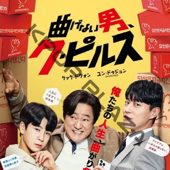 K-POP PLAZA】KPOP DVD 韓流グッズ 専門店 新大久保 KPOPDVD