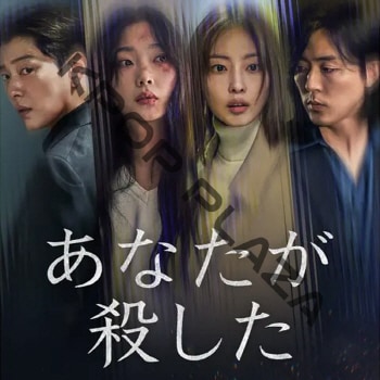 K-POP PLAZA】KPOP DVD 韓流グッズ 専門店 新大久保 KPOPDVD