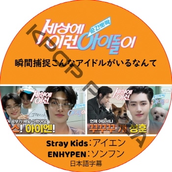 �ִ���ª����ʥ����ɥ뤬����ʤ�� (���ܸ����) / [�б�� : �������� (Stray Kids), ����ե� (ENHYPEN)] ���ȥ쥤���å� SKZ DVD ENHYPEN DVD [K-POP DVD]
