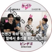 �ԥ󥲥� (2026.06.11) ���ܸ���� / [�б�� : BOYNEXTDOOR] [K-POP DVD]