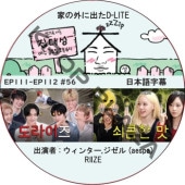 �Ȥγ��˽Ф�D-LITE (EP111-EP112 #56) ���ܸ���� / [�쥮��顼�б� : �ǥ��� (BIGBANG)][�б�� : �����󥿡�,������ (aespa), RIIZE]