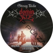 Stray Kids : The dominATE Experience �ǲ� (���ܸ����) / SKZ DVD ���ȥ쥤���å� ������ [K-POP DVD]