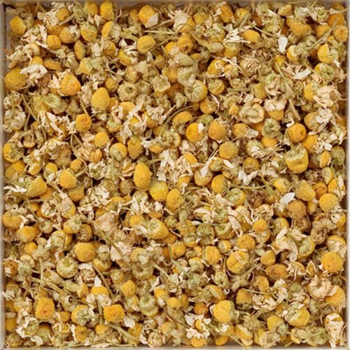 美容と健康に役立つ香りある植物！ 乾燥ハーブ『Dry Herbs』 ハーブバルク カモミール・ジャーマン(500g)