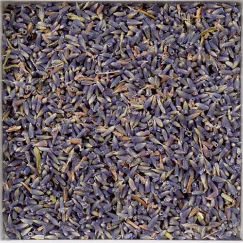 美容と健康に役立つ香りある植物！ 乾燥ハーブ『Dry Herbs』 ハーブバルク ラベンダー(500g)