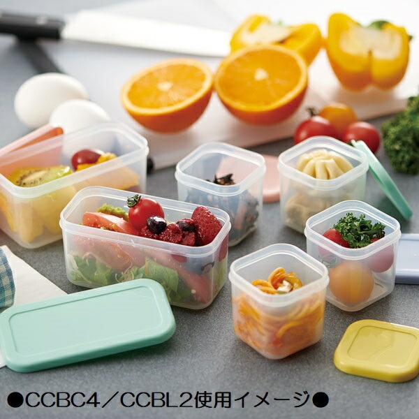 スケーター 作り置き小分け容器セット(長角2個入)[容量230ml