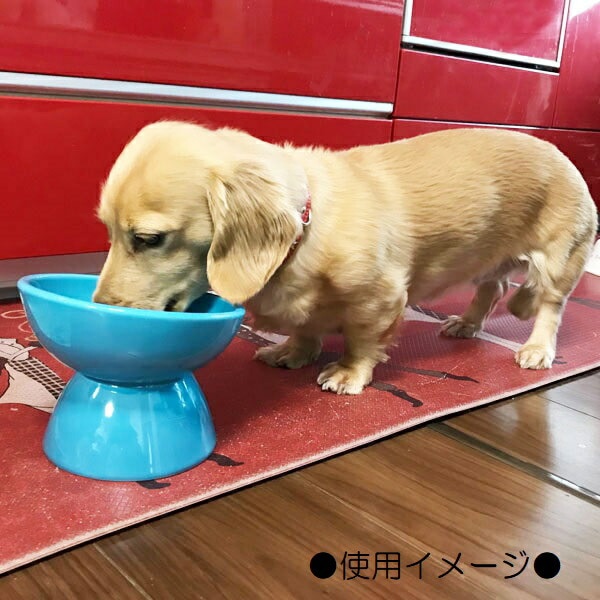 〇※前Dc1009 キャンディポット 犬 イヌ 陶器製 M-PETS PETJOY FeedMeWowボウル PetFamily 犬猫食器 陶器 小型犬
