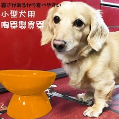 ペット用品】陶器製 小型犬用食器 オレンジ／CHOB2_536274 | カテゴリ 