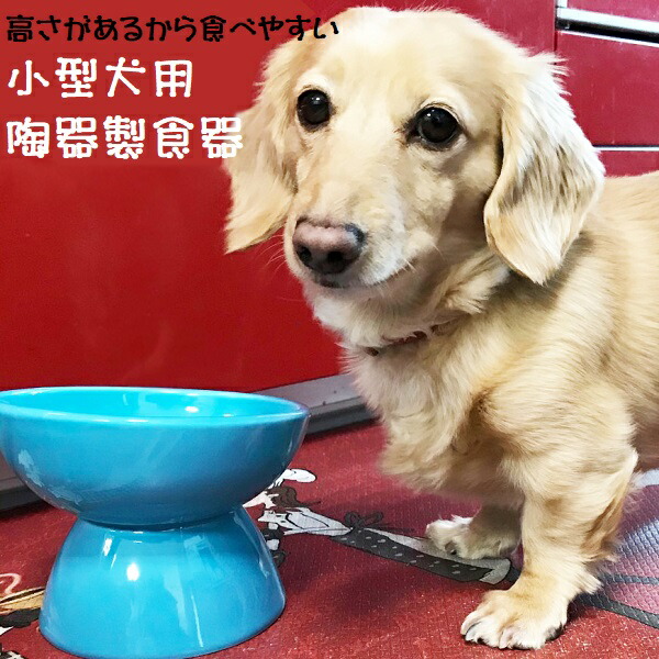 陶器製 小型犬用食器ミント（ブルー）