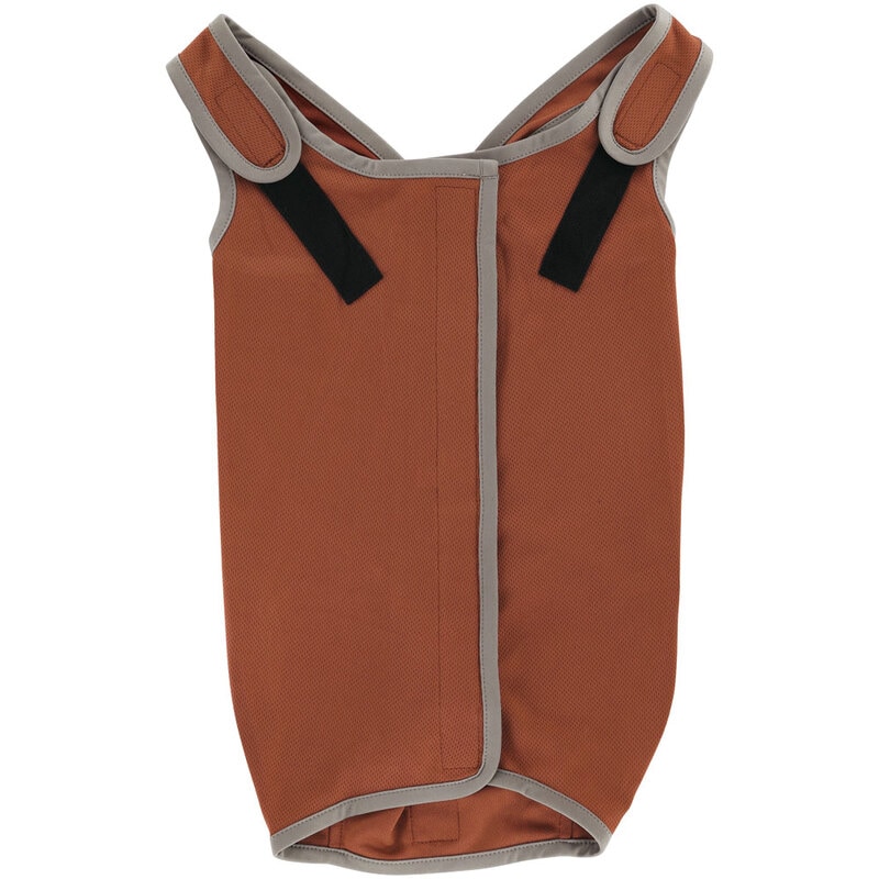 メール便対象品】ペット用 術後服 犬 女の子用 6号 ブラウン 大阪公立