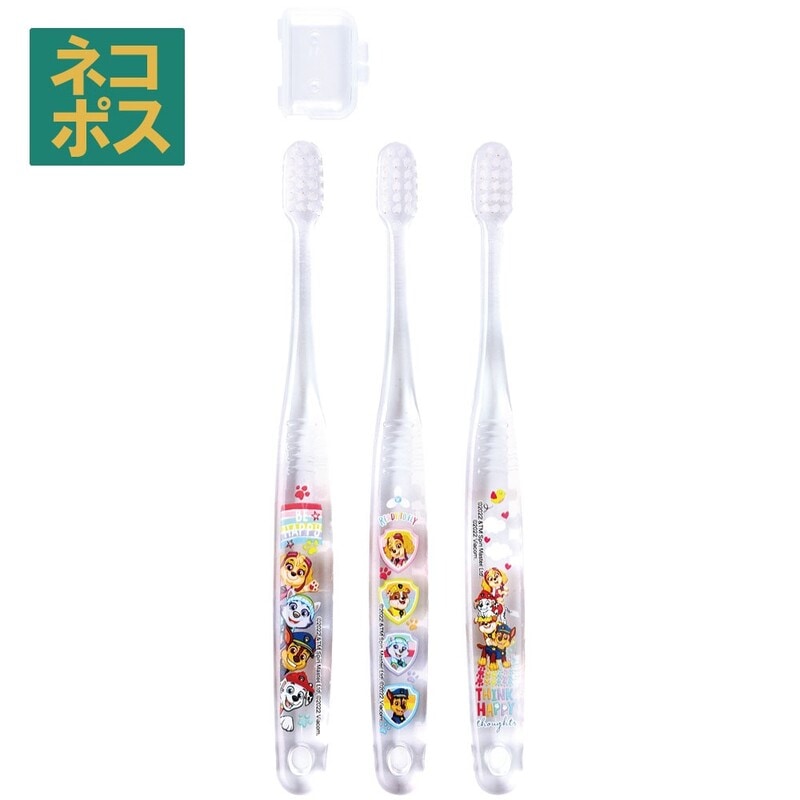 鯨歯3本セット 鯨歯工芸品くじら屋