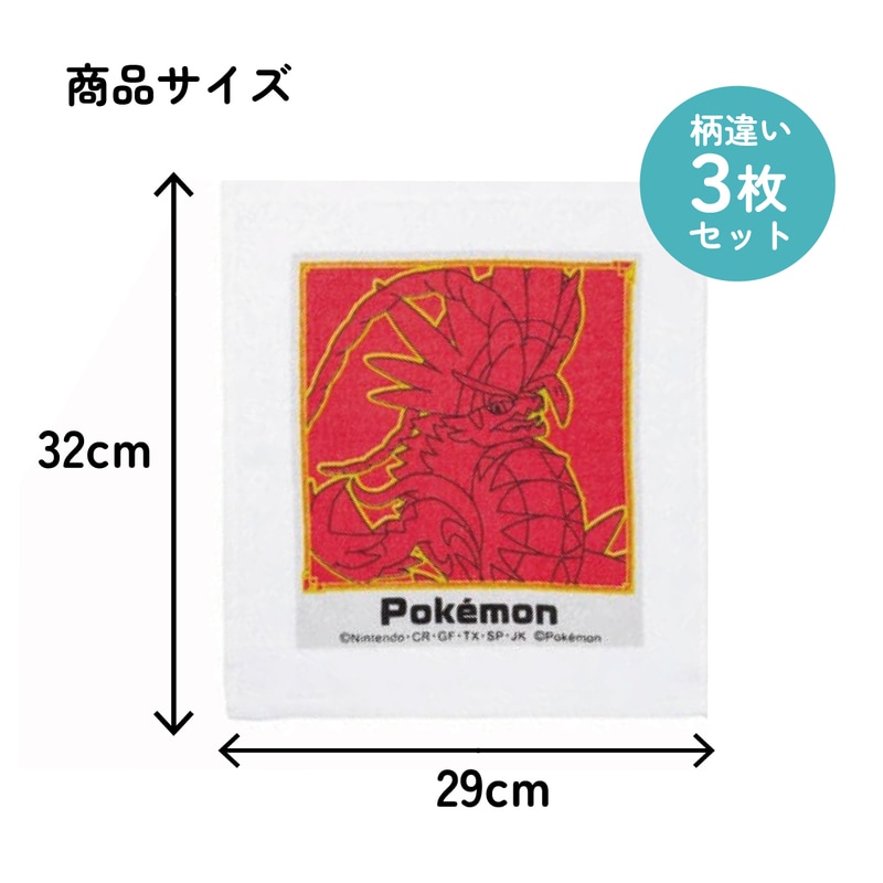 おしぼりタオル 3枚セット ポケモン23N／OAC1T_4973307639333