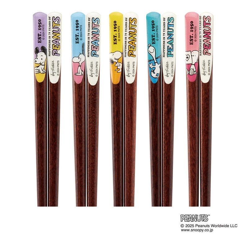 柄物　箸 となりのトトロ 竹箸21㎝ 和柄 | どんぐり共和国そらのうえ店