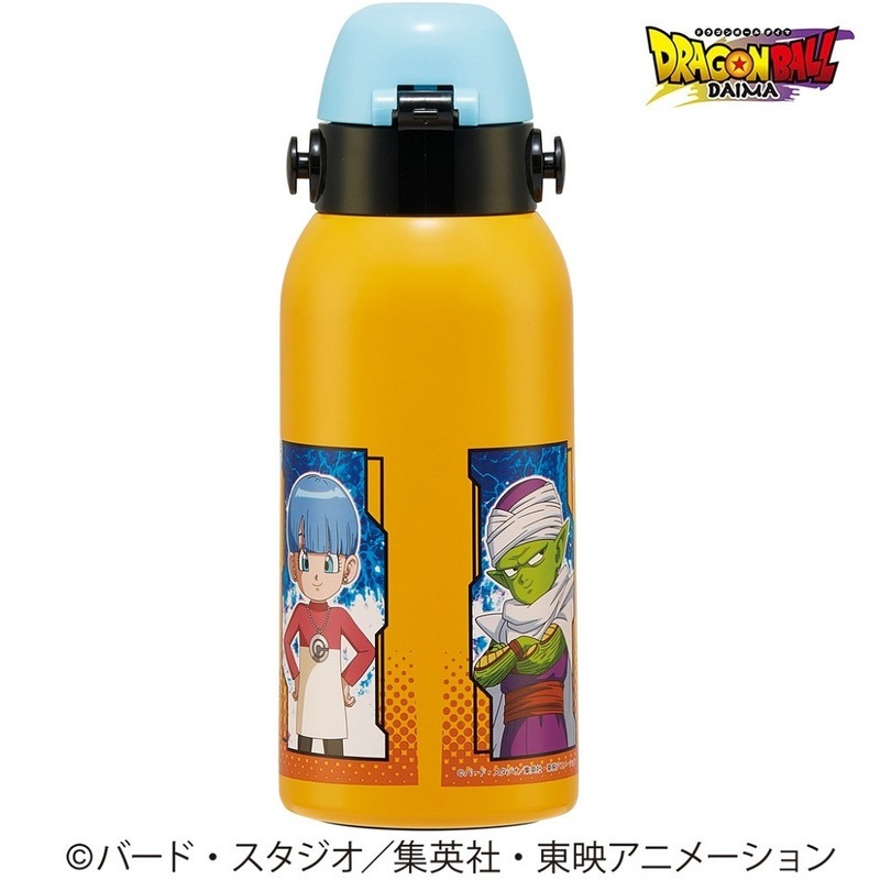 スケーター ダイレクトボトル 水筒 600ml 保冷専用 ステンレス 直飲み