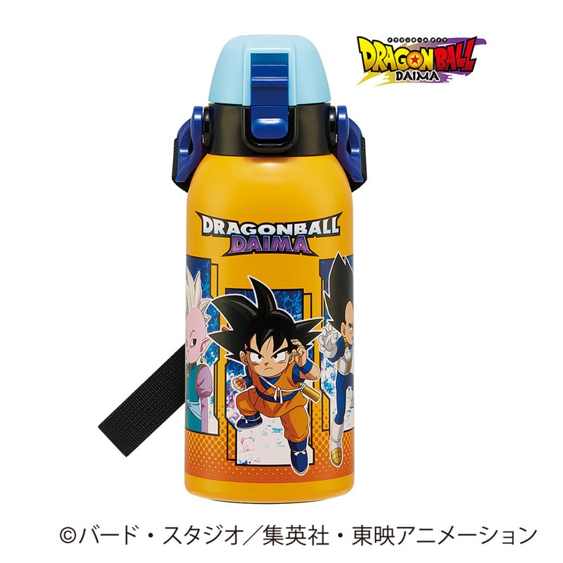 スケーター ダイレクトボトル 水筒 600ml 保冷専用 ステンレス 直飲み