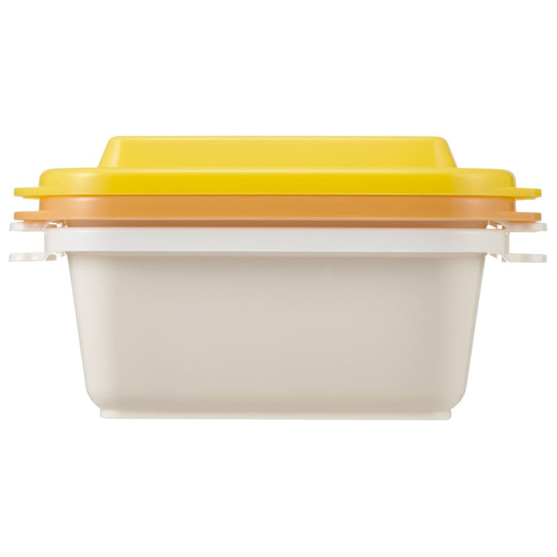スケーター 保存容器 セット 2個入り 300ml エアー弁 ふわっと