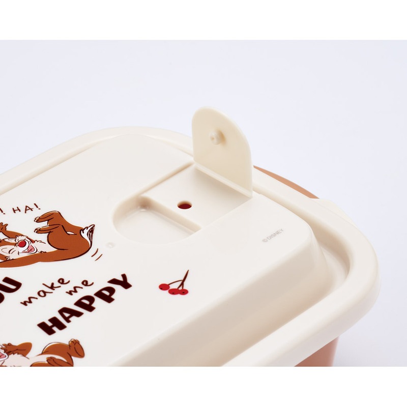 スケーター 保存容器 500ml 2個セット プラスチック 蓋付き 日本製