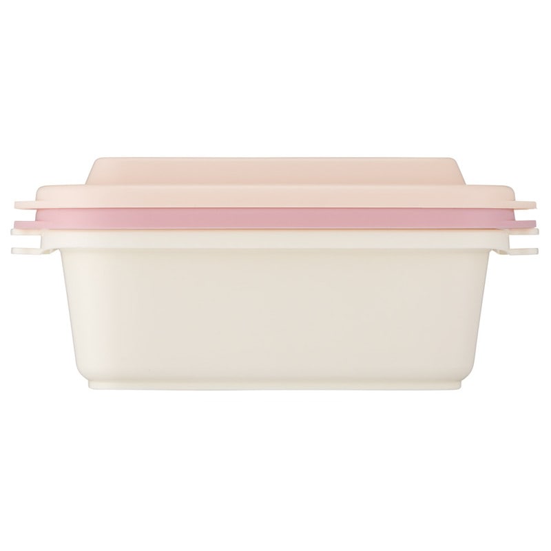 スケーター 保存容器 500ml 2個セット プラスチック 蓋付き 日本製