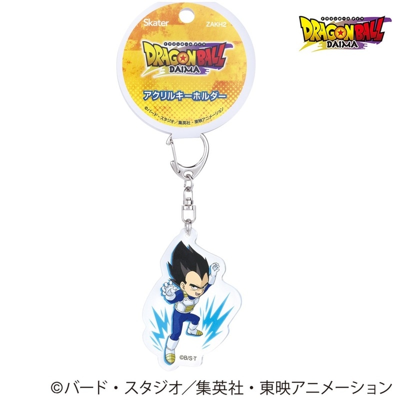 キャラクターアクリルキーホルダー メール便対象品】 スケーター アクリル キーホルダー キャラクター