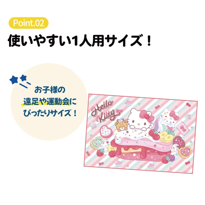 メール便対象品】 スケーター レジャーシート ピクニックシート 子供