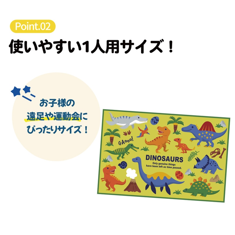 メール便対象品】 スケーター レジャーシート ピクニックシート 子供