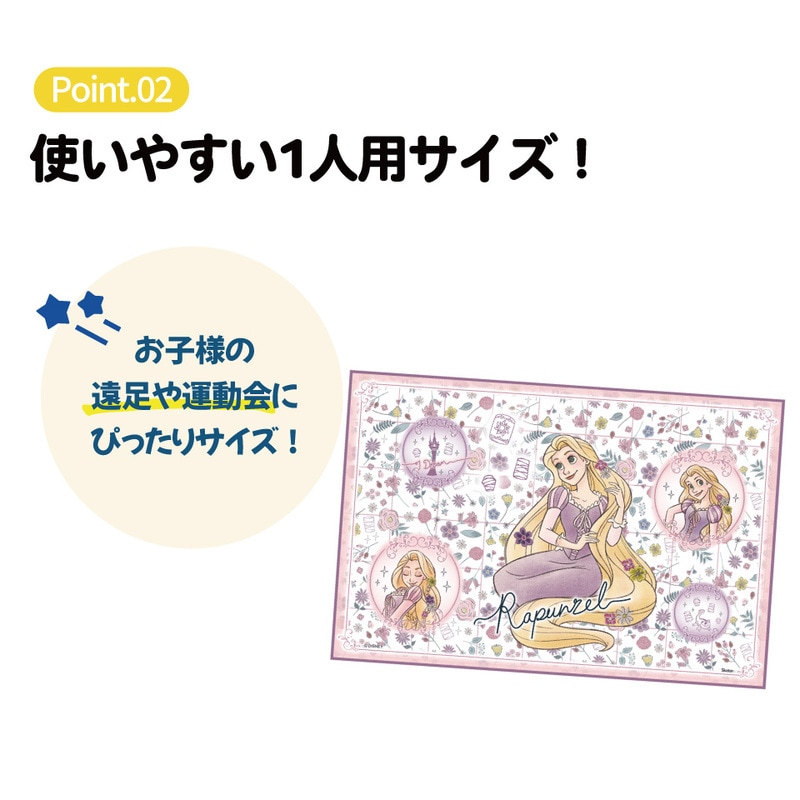 BURTON レジャーシート　希少品 メール便対象品】 スケーター レジャーシート ピクニックシート 子供