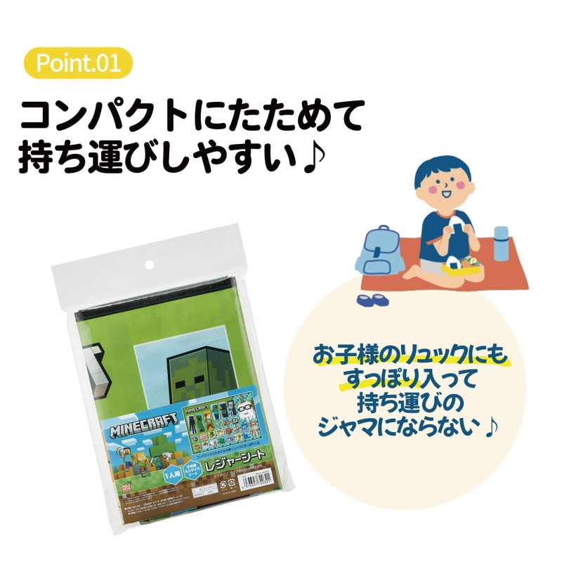 メール便対象品】 スケーター レジャーシート ピクニックシート 子供