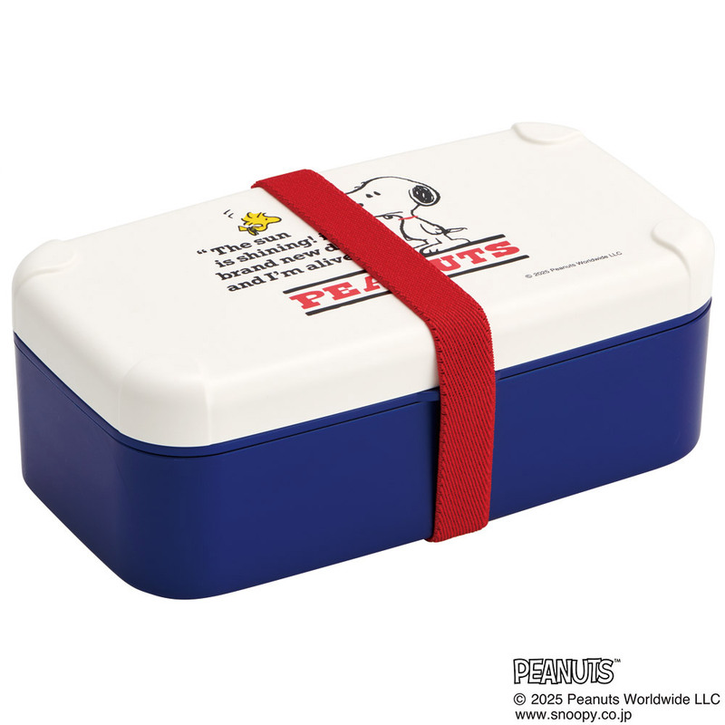 スケーター 弁当箱 スマホスタンド付き 600ml 1段 箸付き 仕切り 食洗